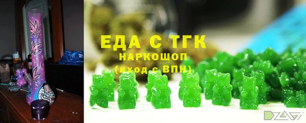 индика Балахна