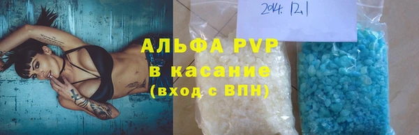 индика Балахна