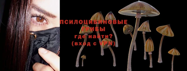 a pvp Белоозёрский