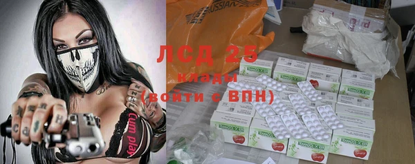 индика Балахна