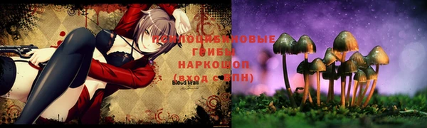 МДПВ Балабаново