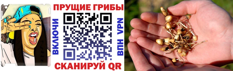 как найти закладки  Великий Устюг  ОМГ ОМГ как зайти  Галлюциногенные грибы ЛСД 